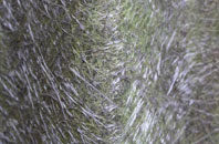 Lochmaben fibreglass roof work